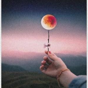 Listen to Feel Like Sun On My Skin song with lyrics from Scizor