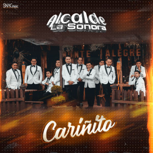收听Alcalde La Sonora的Cariñito歌词歌曲