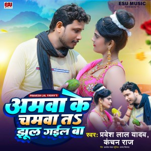 Album Amava Ke Chamva Ta Jhul Gayil Ba from Pravesh Lal Yadav