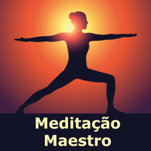 收听Meditação Maestro的Brilhante despertar歌词歌曲
