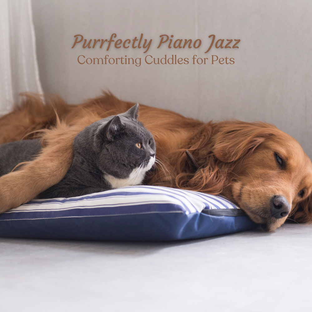Purrfectly Piano Jazz