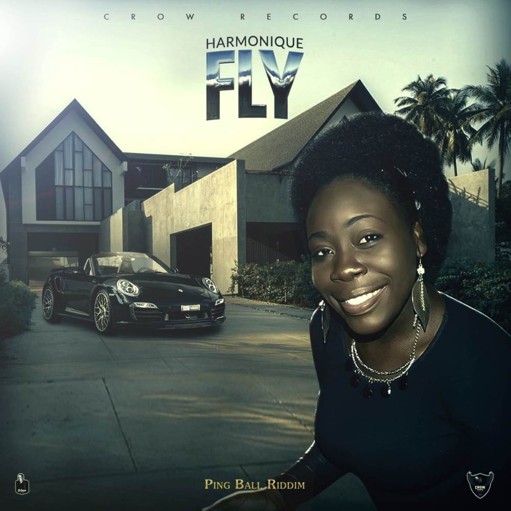 Fly