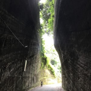 柴田新之助的專輯Japanese Scenery 1