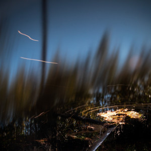 Listen to Earth song with lyrics from Umanità Nova