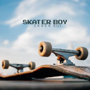 Tyler Ward的專輯Skater Boy