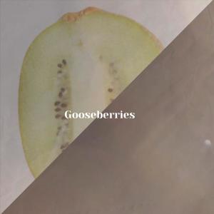 Various的专辑Gooseberries