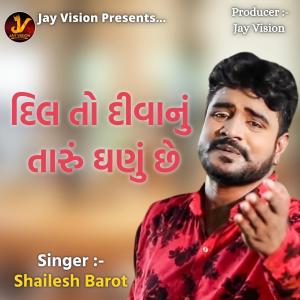 Listen to Dil To Diwanu Taru Ghanu Che song with lyrics from Shailesh Barot