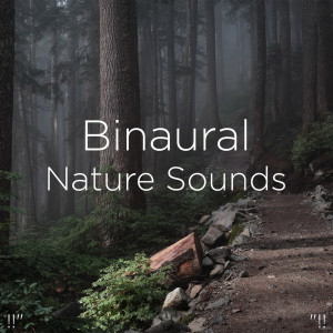 Listen to Nature Music song with lyrics from BodyHI