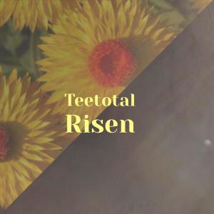 Album Teetotal Risen from Various