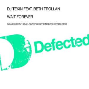 收聽DJ Tekin的Wait Forever (feat. Beth Trollan) (Radio Cut)歌詞歌曲