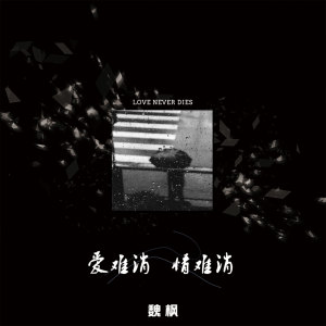 Album 爱难消情难消 from 魏枫