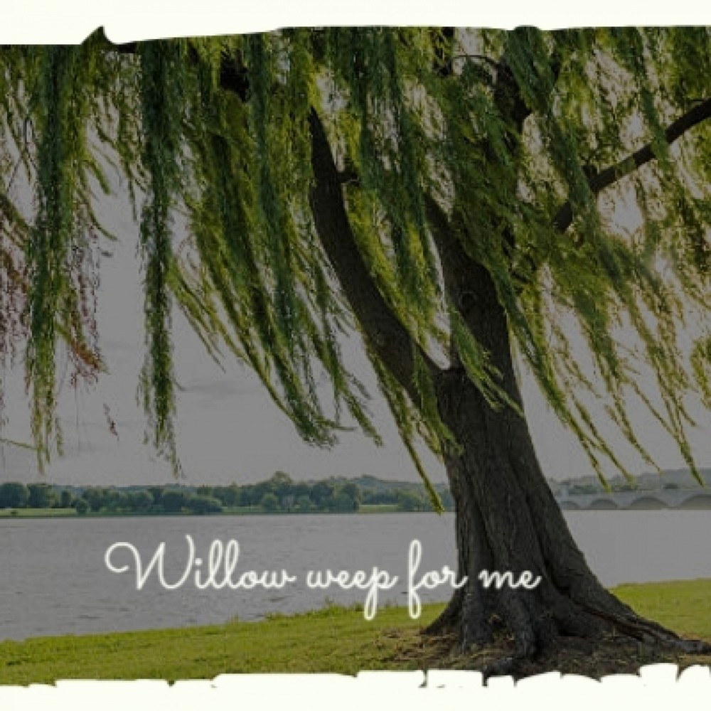 Willow weep for me