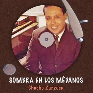 Chucho Zarzosa的專輯Sombra en los médanos