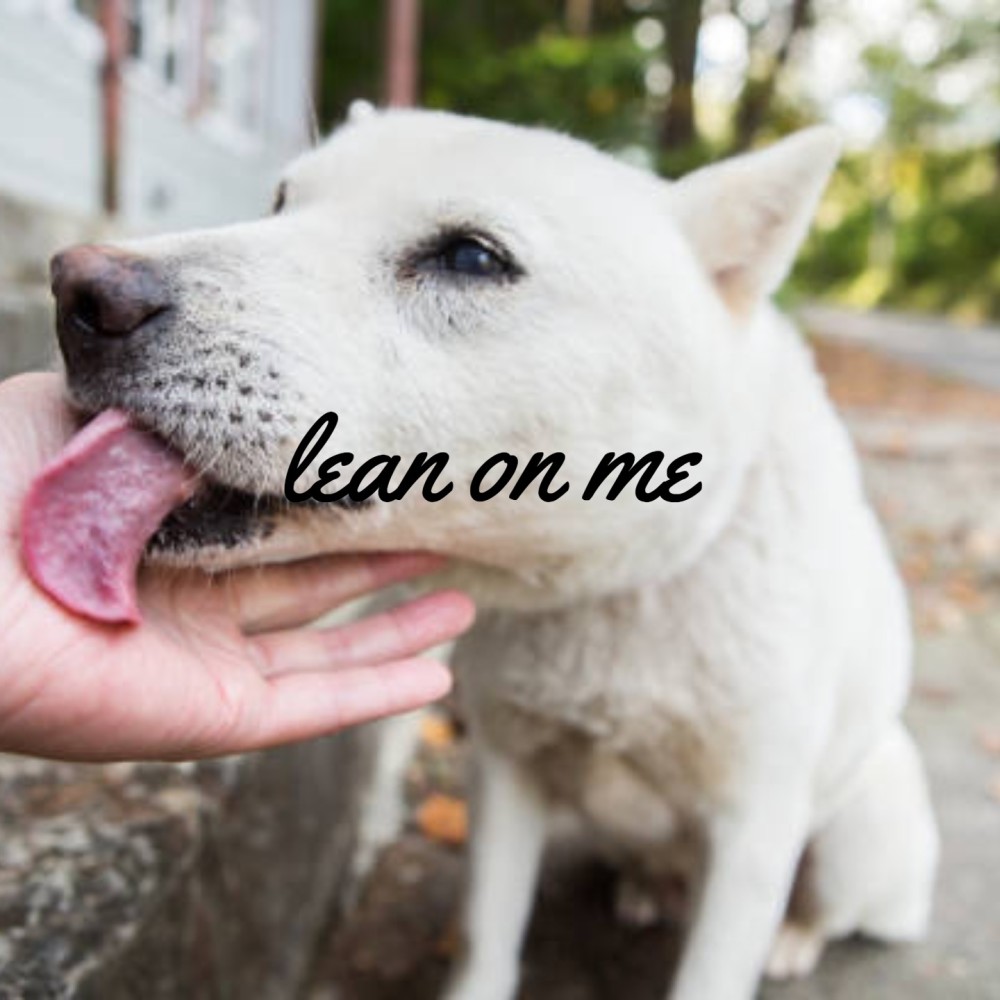 Lean on Me