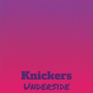 Various Artists的專輯Knickers Underside