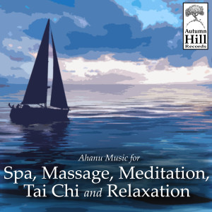 Dengarkan lagu Relaxing Spa Meditation nyanyian Ahanu Music for Spa dengan lirik