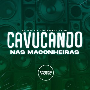 Listen to Cavucando nas Maconheiras (Explicit) song with lyrics from DJ Feeh 011