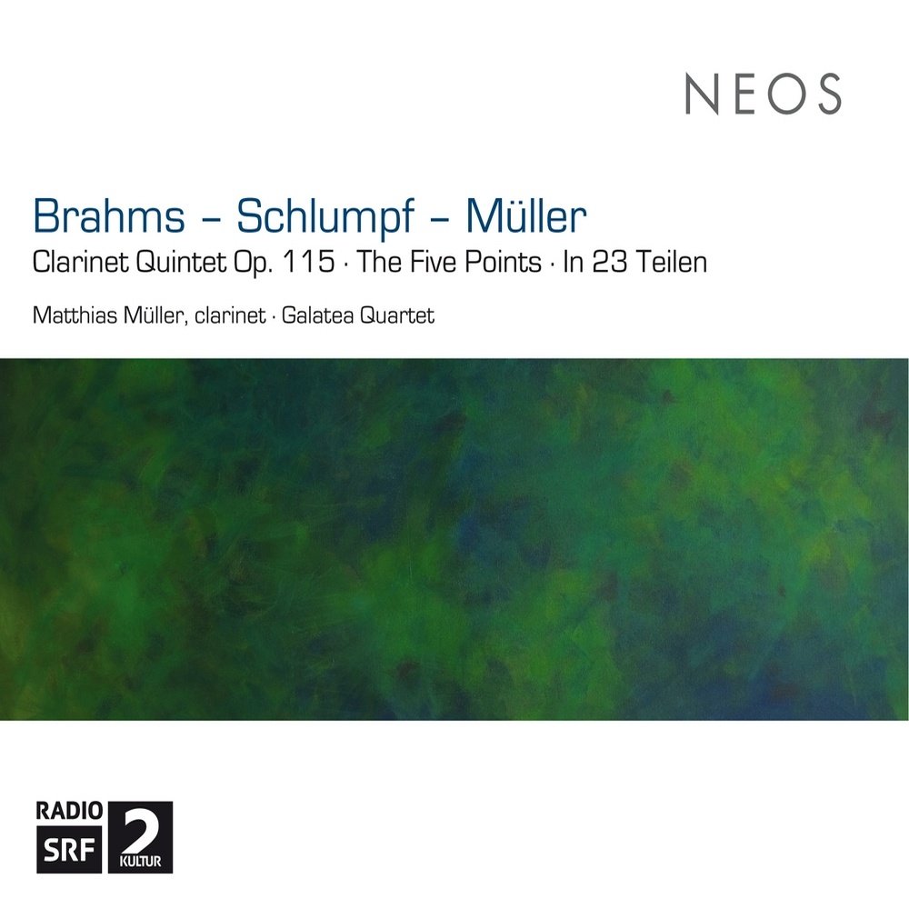 Clarinet Quintet in B Minor, Op. 115: I. Allegro