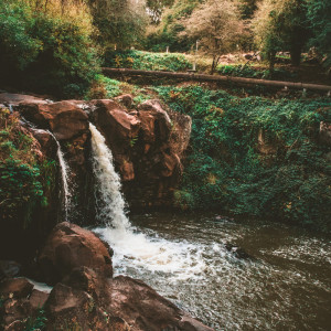 อัลบัม 45 Songs With Nature: Blissful Creek ศิลปิน Sleep Music Lullabies