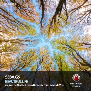Listen to Beautiful Life (Philip James de Vries Remix) song with lyrics from Seba GS