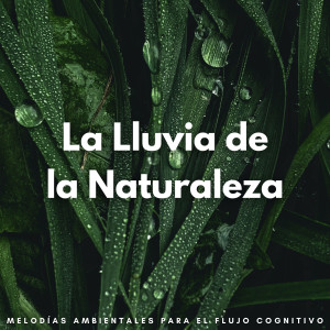 Album La Lluvia De La Naturaleza: Melodías Ambientales Para El Flujo Cognitivo oleh Concentracion