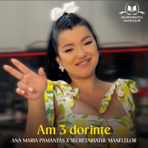 Album Am 3 dorințe from Pământaș Ana Maria