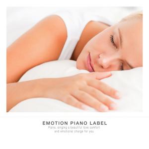 Album Good night with sleeping New Age oleh Various Artists