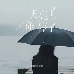 Listen to 天亮了雨停了 (完整版) song with lyrics from 阿颖不吃香菜