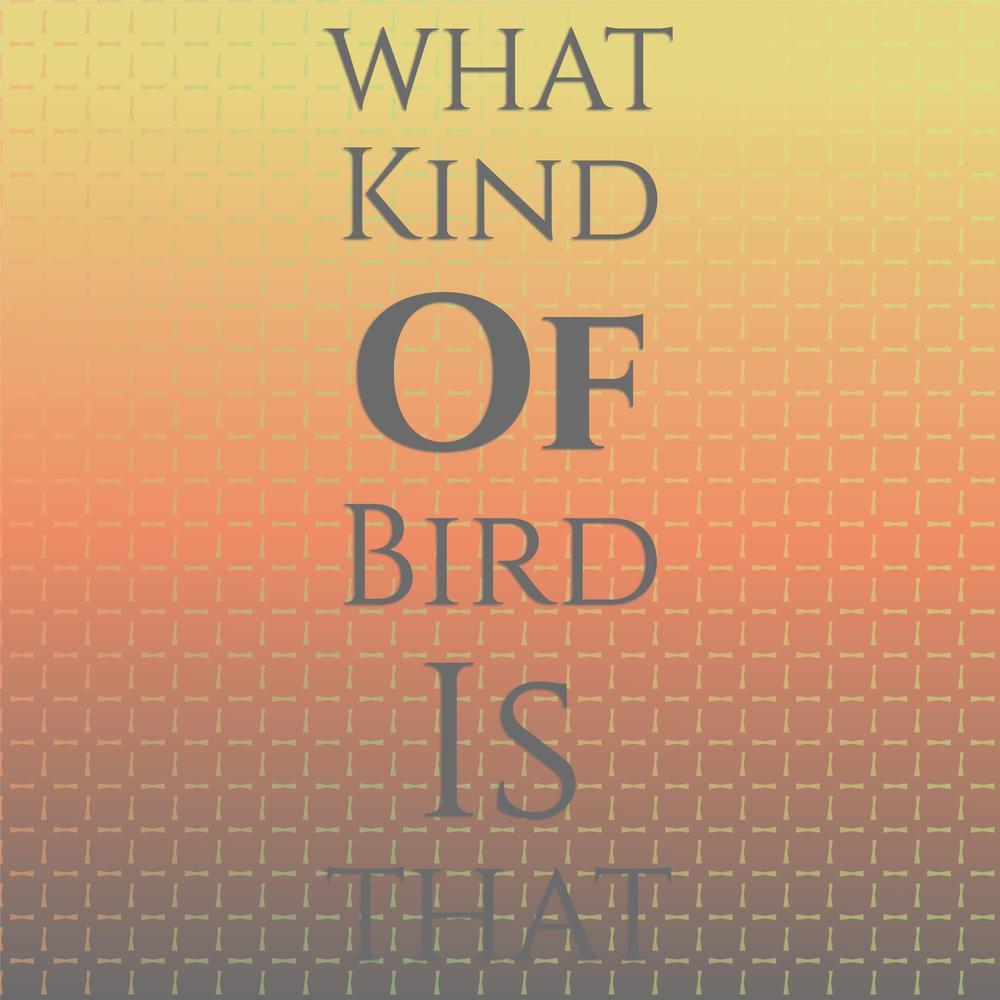What Kind Of Bird Is That