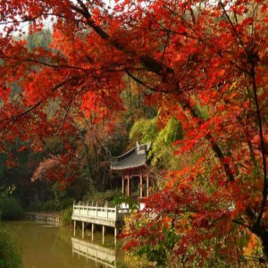 Listen to 醉美栖霞山 song with lyrics from 中正平和