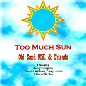 Darryl Jones的專輯Too Much Sun (Single Mix) (feat. Jerry Douglas, Deniece Williams, Darryl Jones & Gabriel Witcher) [Radio Edit]