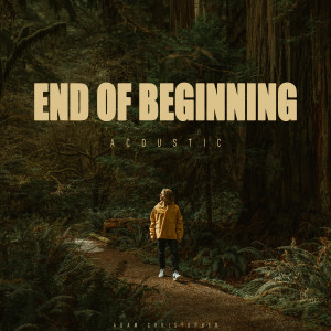 Adam Christopher的專輯End of Beginning (Acoustic)