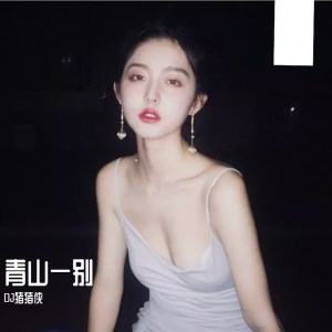 收听DJ猪猪侠的青山一别歌词歌曲