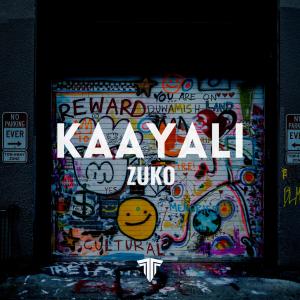 Listen to Kaayali song with lyrics from Zuko