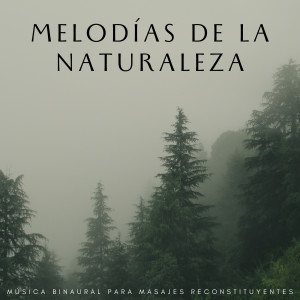 The Unexplainable Store的专辑Melodías De La Naturaleza: Música Binaural Para Masajes Reconstituyentes
