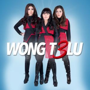Listen to Bulu Perindu song with lyrics from Wong Telu