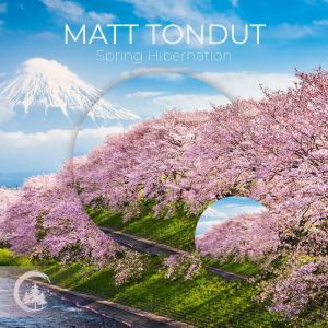 Listen to Spring Hibernation song with lyrics from Matt Tondut