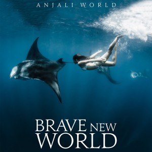 Anjali World的專輯Brave New World - EP