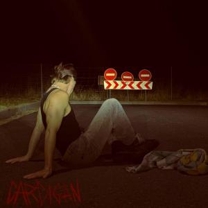 AXELVERSE的專輯cardigan