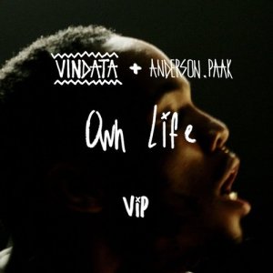 收聽Vindata的Own Life (feat. Anderson .Paak) [VIP Mix] (VIP Mix|Explicit)歌詞歌曲