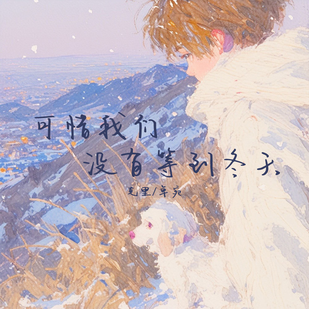 可惜我们没有等到冬天 (伴奏)