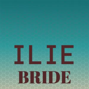 Listen to Ilie Bride song with lyrics from Sharna Sarbi