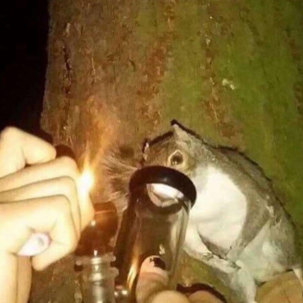 Dirty Bong (Explicit)