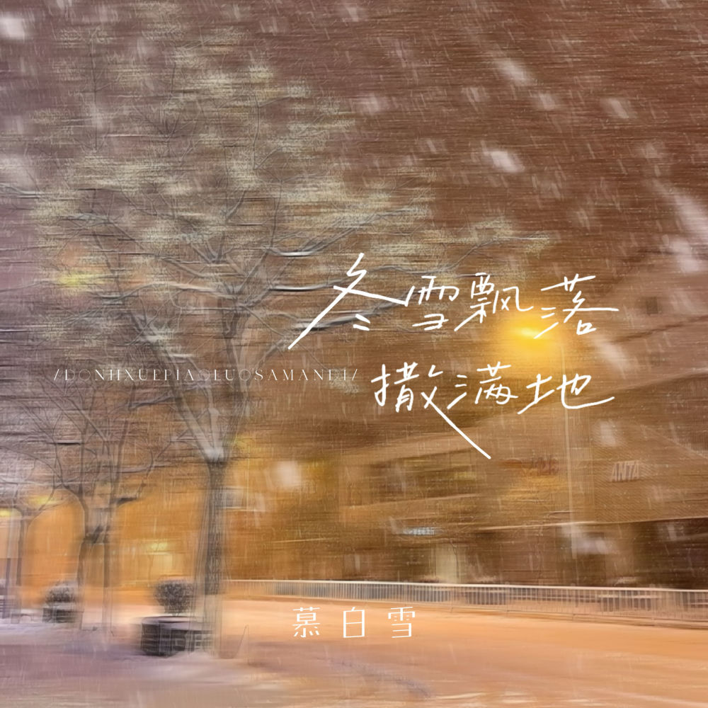 冬雪飘落撒满地 (节奏氛围版)