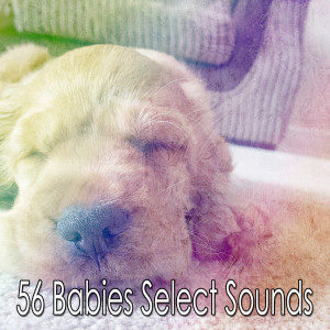 Listen to Restorative Slumber song with lyrics from Sleepy Night Music