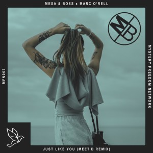Listen to Just Like You (Meet.D Remix) song with lyrics from Mesa & Boss