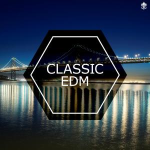 ดาวน์โหลดและฟังเพลง The Same Kind(feat. Benjamin Edman) พร้อมเนื้อเพลงจาก Slinz