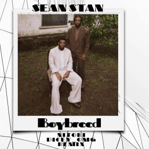 ดาวน์โหลดและฟังเพลง Nitori (feat. Boybreed & Dicey_omg) (Remix) พร้อมเนื้อเพลงจาก Sean Stan