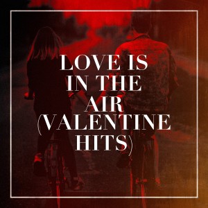 Various Artists的專輯Love Is in the Air (Valentine Hits)