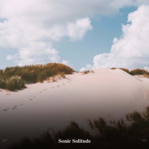 Album !!!!" Sonic Solitude "!!!! oleh White Noise Baby Sleep Music